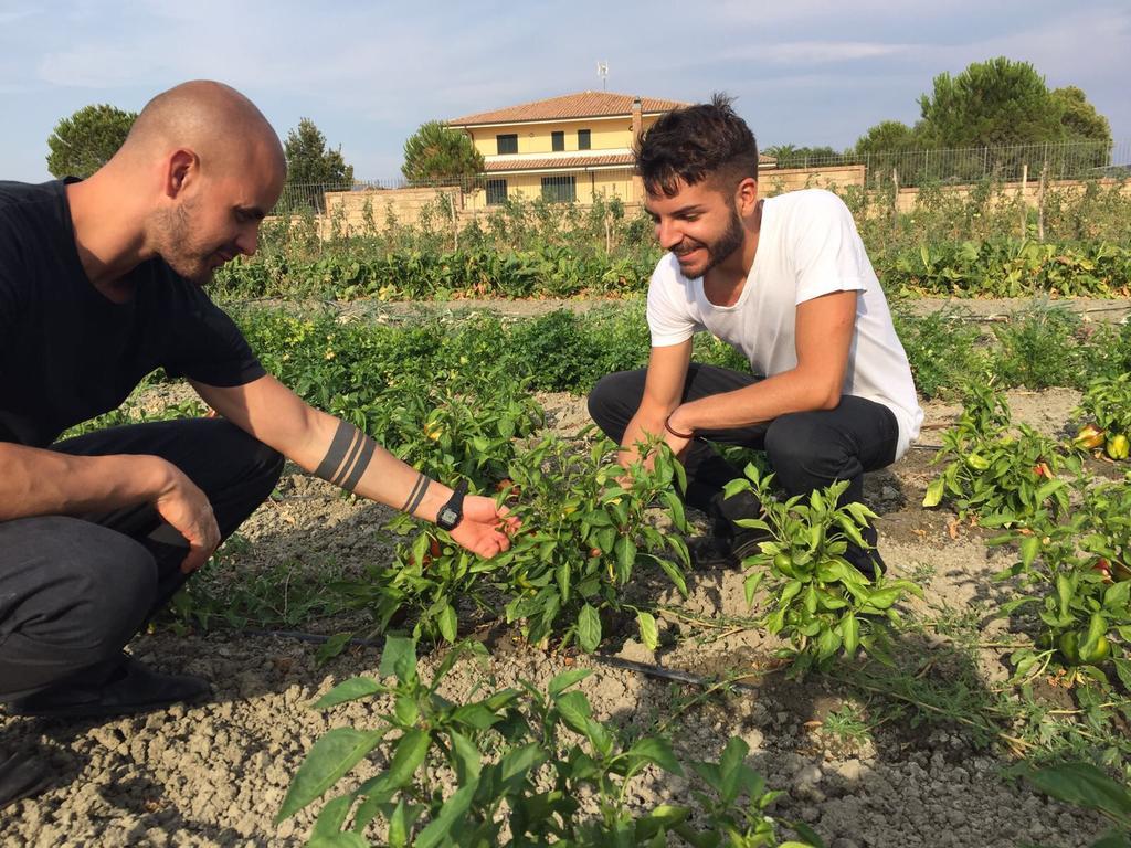 La Casa Di Botro Bauernhof Botricello